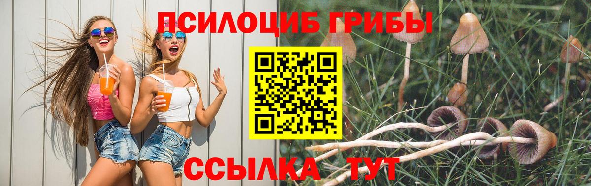 продажа наркотиков  Галлюциногенные грибы Cubensis  Вход с VPN  Галлюциногенные грибы мицелий  Городец 