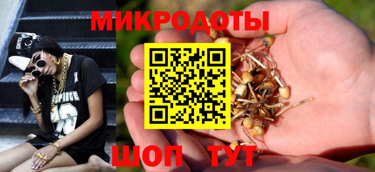 Псилоцибиновые грибы Psilocybe Городец